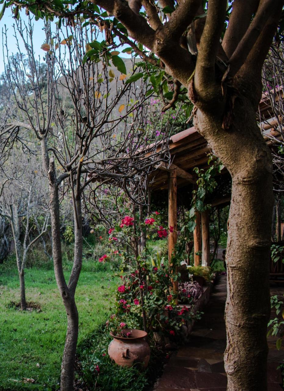 Eco Lodge Los Perales-Urubamba Extérieur photo